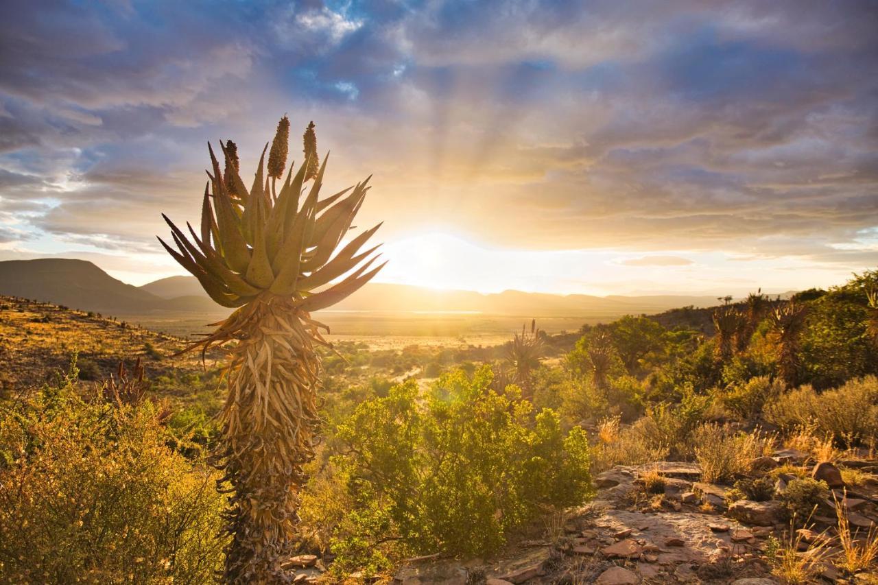 Ironstone Cottage Graaff-Reinet エクステリア 写真